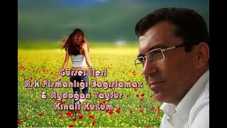 Gürsel İleri - Aşk Pişmanlığı Bağışlamaz & Aydoğan Tayfur - Kınalı Kuzum Resimi