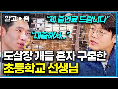 "기생충 가득한 개밥" 먹으며 뜬장에서 떨던 37마리 개 혼자 살린 교사 만나 포옹한 설쌤｜세상에 나쁜 개는 없다｜알고e즘