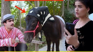 Кош Ба Чойи Зара Аруси Нав Ёофт🤣🤣🤣🤣💋💋💋💋💋