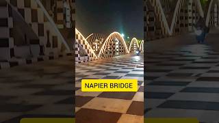 Napier Bridge Chennai Shorts Telugu Channel