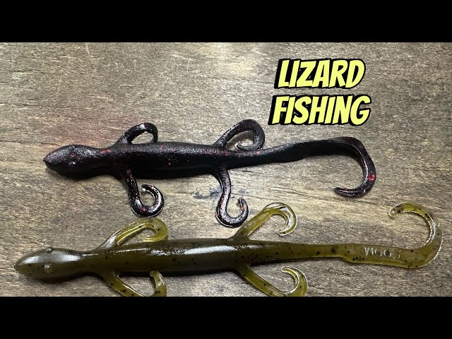 When Lizards Outproduce All Other Lures 