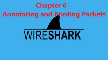 Capture 6_ Annotating and Printing Packets || NetworkHelp