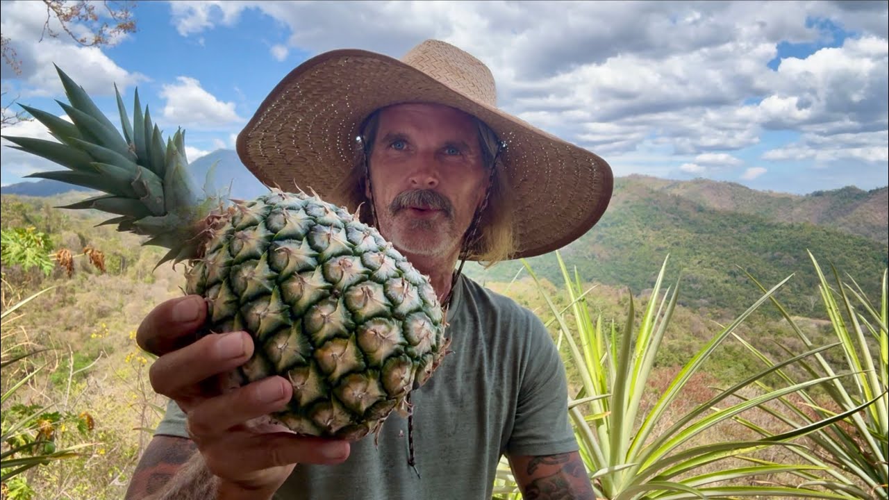 Guanacaste Costa Rica Food Forest Tour 2026