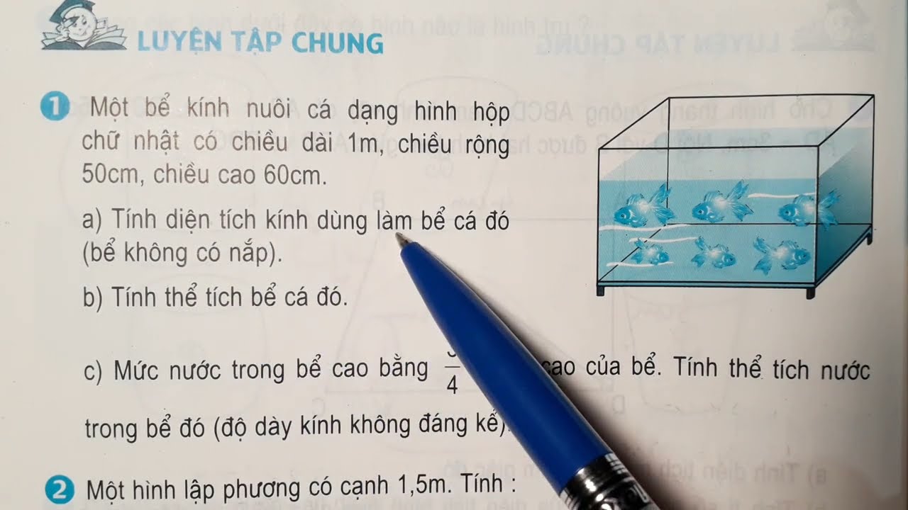 Hướng dẨn cách tính thể tích nước bể cá