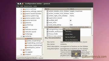Move Ubuntu 10.04 Window Controls