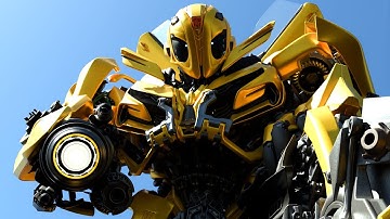 Bumblebee 3D animation.Made with Blender 3D