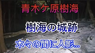 富士青木ケ原樹海の城跡 木々の間に人影がThere is a figure among the trees in the castle ruins of Fuji Aokigahara Jukai..