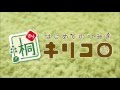 木のおもちゃ はじめてのつみき キリコロ24ピースセット 【ウッディプッディ公式】