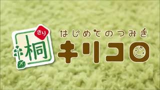 木のおもちゃ はじめてのつみき キリコロ24ピースセット 【ウッディプッディ公式】