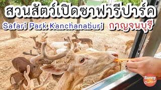 4K l สวนสัตว์เปิดซาฟารีปาร์คกาญจนบุรี | Safari Park Kanchanaburi | Sunny ontour