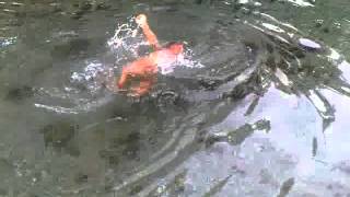 Abil Isa Mandi Berdua Di Sungai Guyon Renang Telanjang Bulat Senang Banget 20150130 00026