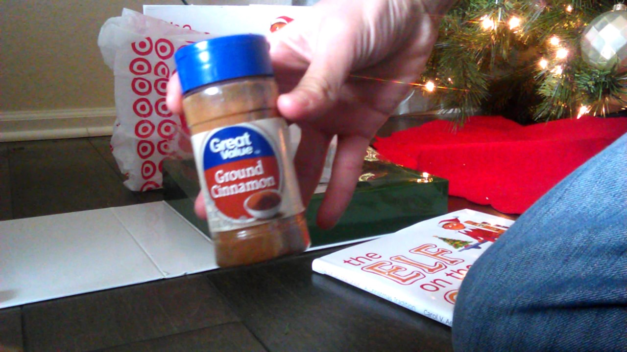 What if you touch your elf on the shelf YouTube