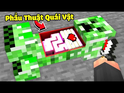 Minecraft nhưng mình có thể Phẩu Thuật Tất Cả Quái Vật