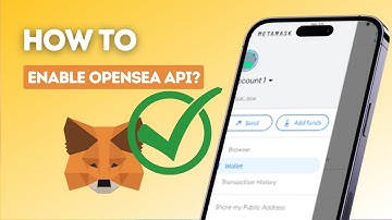 How to enable OpenSea API on MetaMask?
