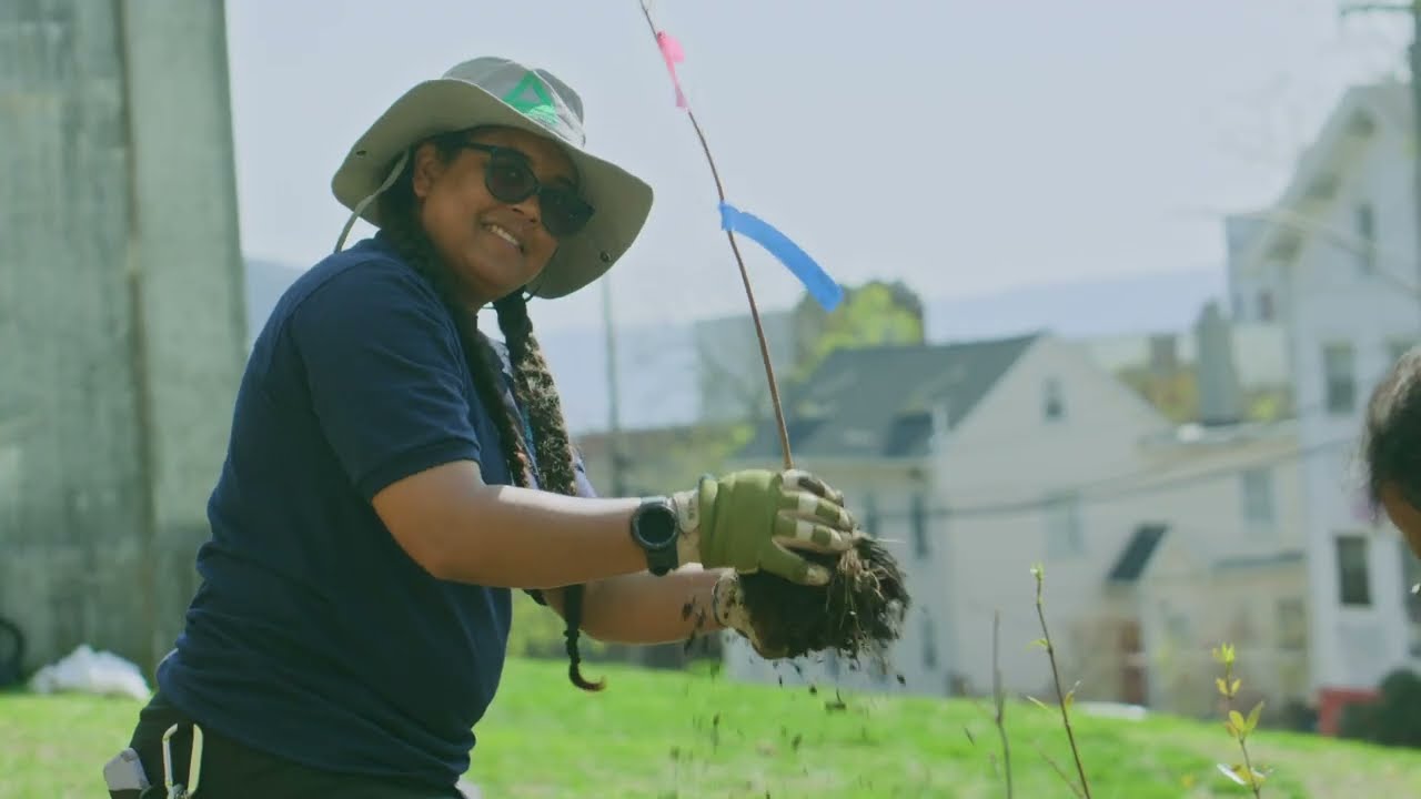 Microforest at Barack Obama School Fights Extreme Heat & Flooding | Groundwork Hudson Valley