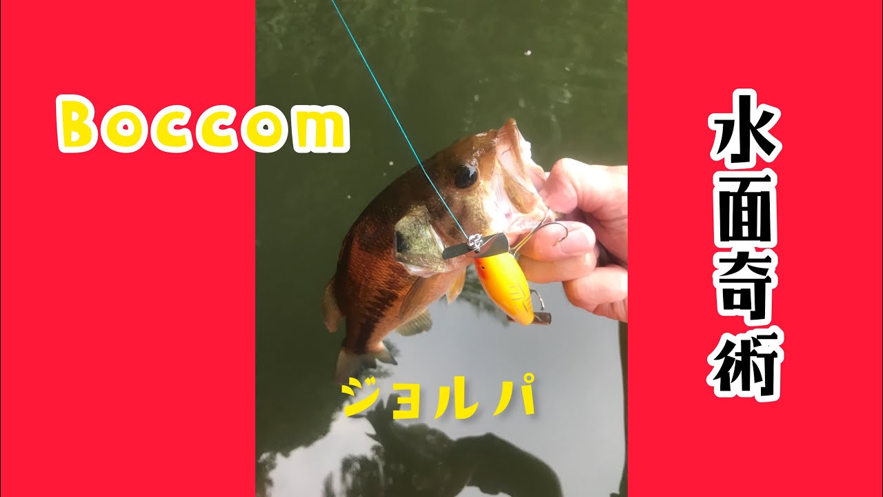 Water Magic #105 BOCCOM Giro Frog - YouTube