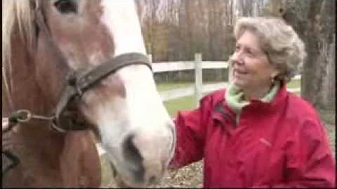 Susan Richards, Saddled: How a Spirited Horse Rein...