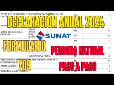 Declaración Anual 2024