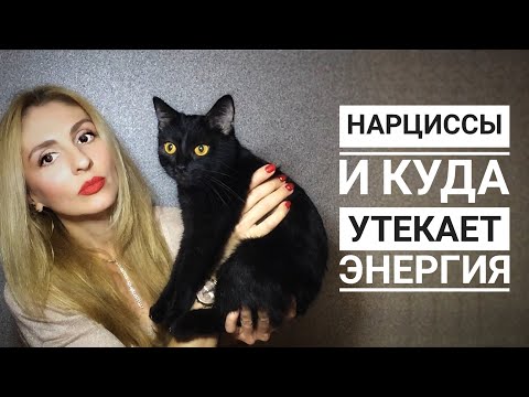 Нарцисс вампирит Энергию