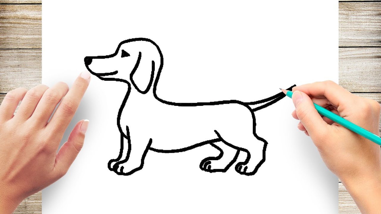 sausage dog drawing