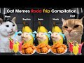 Cat Memes Road Trip Compilation Full