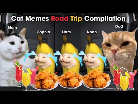 Cat Memes Road