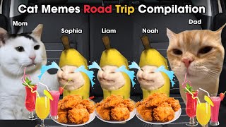 : Cat Memes Road Trip Compilation Full