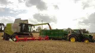 wheat harvest 2023~Martin kehoe