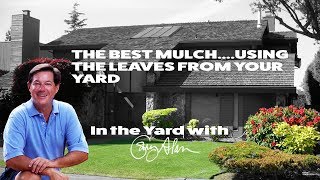The Best Free Mulch---Using Leaves from Your Yard-In the Yard with Gary Alan