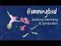Hummingbird Spirit Animal/ Hummingbird Totem/ Spirit Meaning of Hummingbird