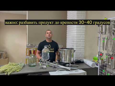 Абсент в домашних условиях