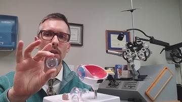 Where is the Macula?