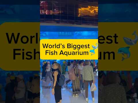 Dubai Aquarium & Underwater Zoo || World’s Biggest Fish Aquarium #minivlog #ytshorts #viral #dubai