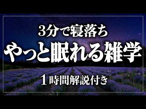 【睡眠導入】たった3分で眠れる雑学をお届け。寝ながら賢くなる日常生活100の雑学1時間【BGMなし】【男性朗読】