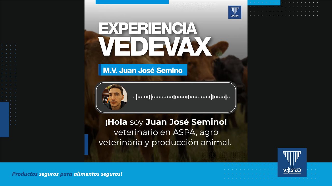 Testimonial Vedevax BLOCK: Juan Jose Semino - YouTube
