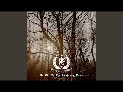 An Ode To The Awakening Dawn