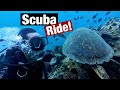 Solo Ride Papunta sa Ilalim ng Dagat | Honda PCX 160