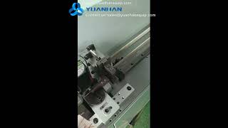 Enameled Wire Stripping Bending & Tinning Machine YH-ZX819 - Yuanhan