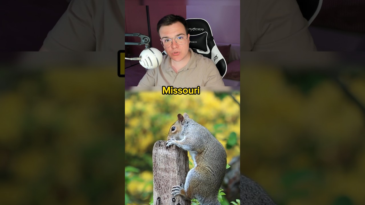 Strange Laws From Missouri