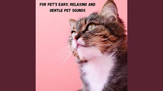 Wellness Pet Strings