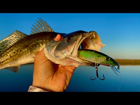 2 Hours NONSTOP Fishing Action | Shell Beach, La.!