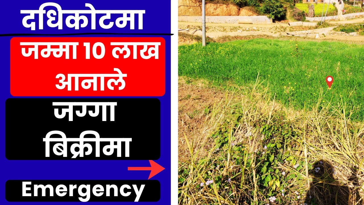 दधिकोटमा जम्मा 10 लाख आनाले जग्गा Emergency बिक्रीमा Ghar Jagga Kathmandu @GharJaggaBigyapan 