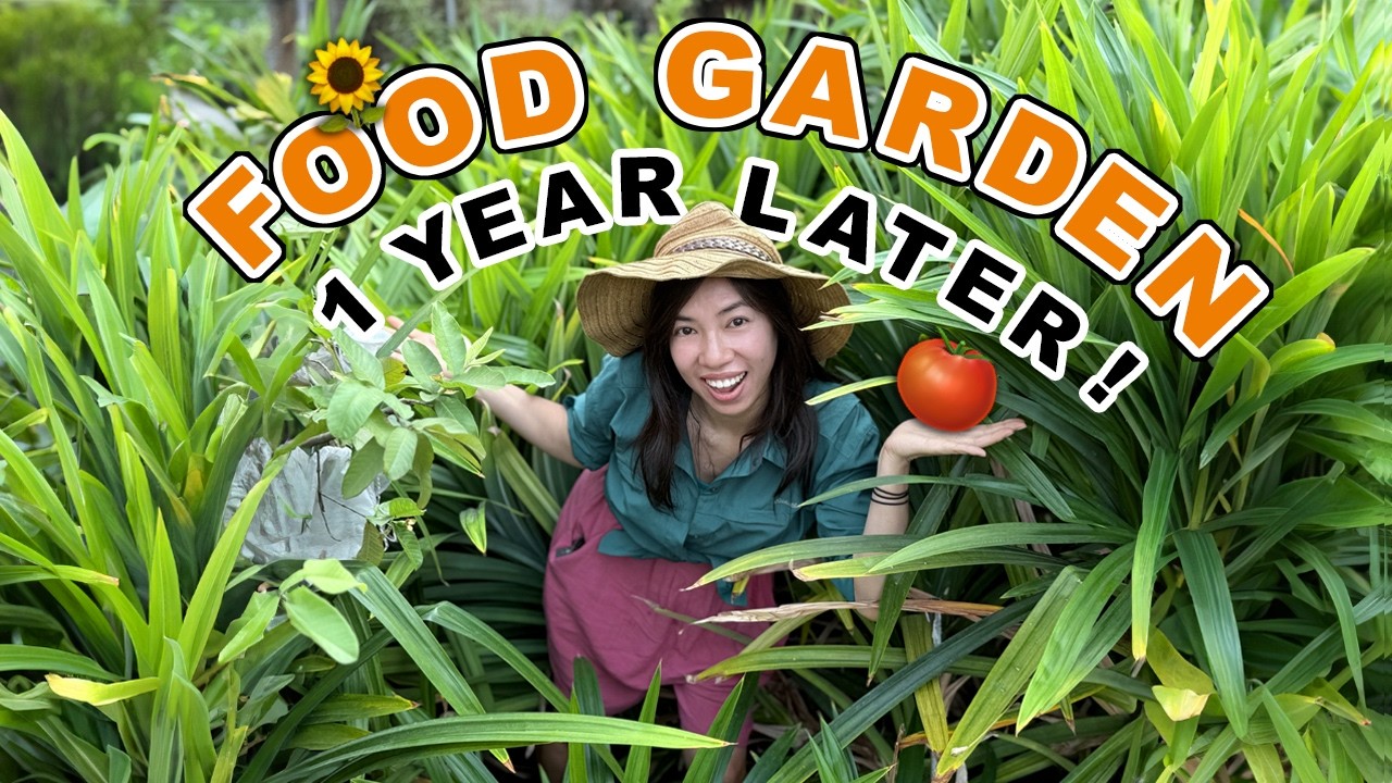 American Expat’s Tropical Food Garden: 1 Year Later + Expert Tips (Part 2) 🌿