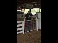 Learning About LGDs OnSite: Gate Training LGD Learning About LGDs OnSite: Gate Training LGD