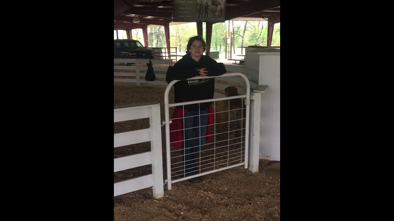 Learning About LGDs OnSite Gate Training LGD YouTube