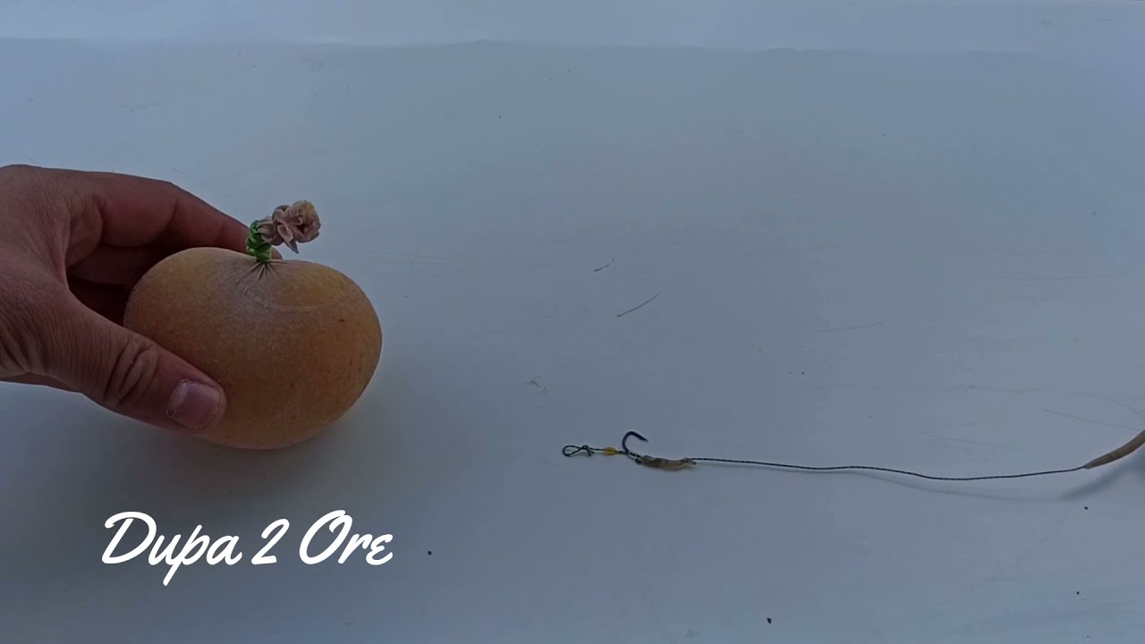 Patratica crap caras dunare