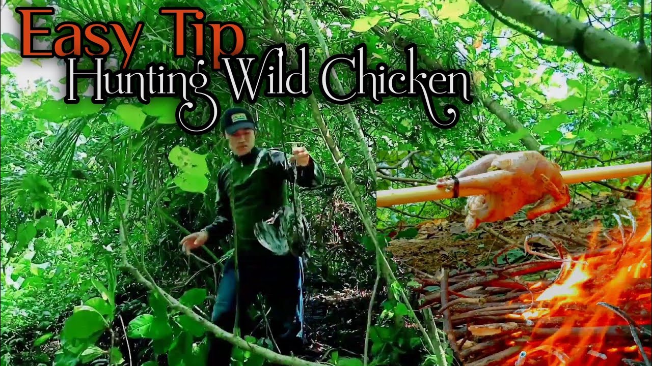 Bushcraft Philippines - Hunting Wild Chicken in the forest | ASMR