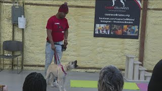 Program helps men avoid jail through training dogs