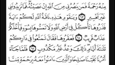سورة هود [ من الآية 54 إلى 81 ] بصوت الشيخ سعد الغامدي