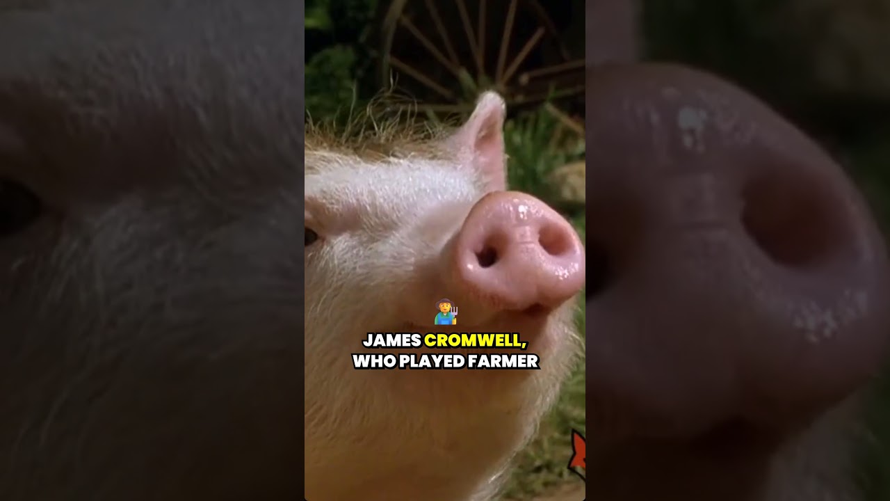 How anthropomorphised animals helped fuel Millennial vegetarianism: the James Cromwell Effect